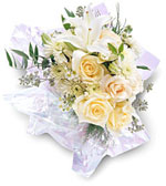 Suprise your loved ones this holiday season with gifts to Russia