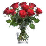 9 Gülden Olusan Bir Derleme