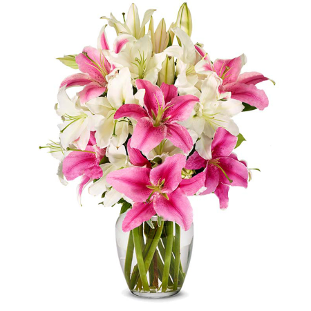 Blooming Elegance Lilies
