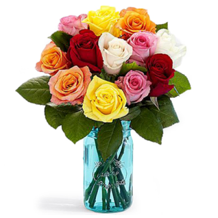 Shades of Tenderness