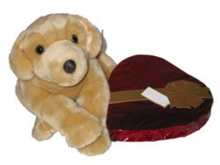 Pelus Oyuncak ve Çikolata