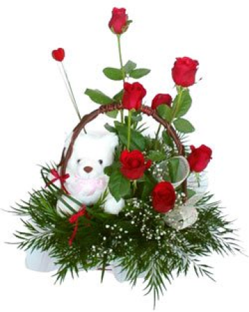 Oyuncak Ayi ve Güller